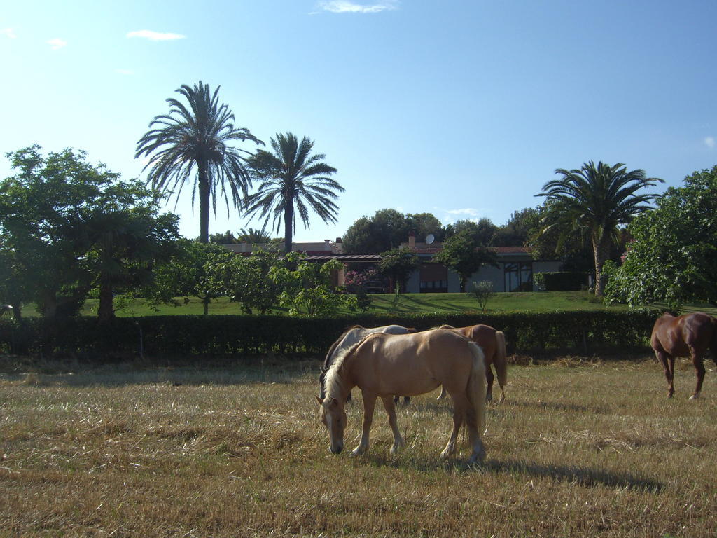 Santa Igia - Country House Bed and Breakfast Elmas Exterior foto